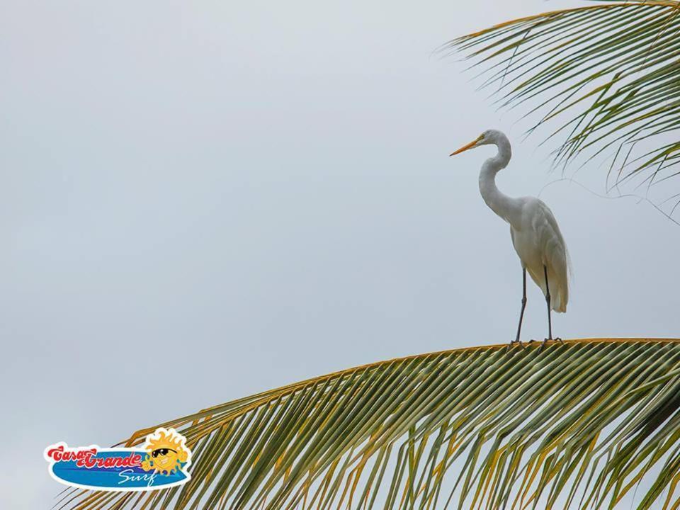 Casa Grande Surf Hotel Guachaca ภายนอก รูปภาพ