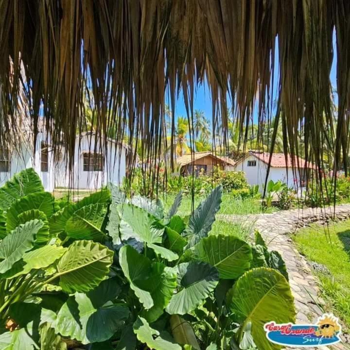 Casa Grande Surf Hotel Guachaca ห้อง รูปภาพ